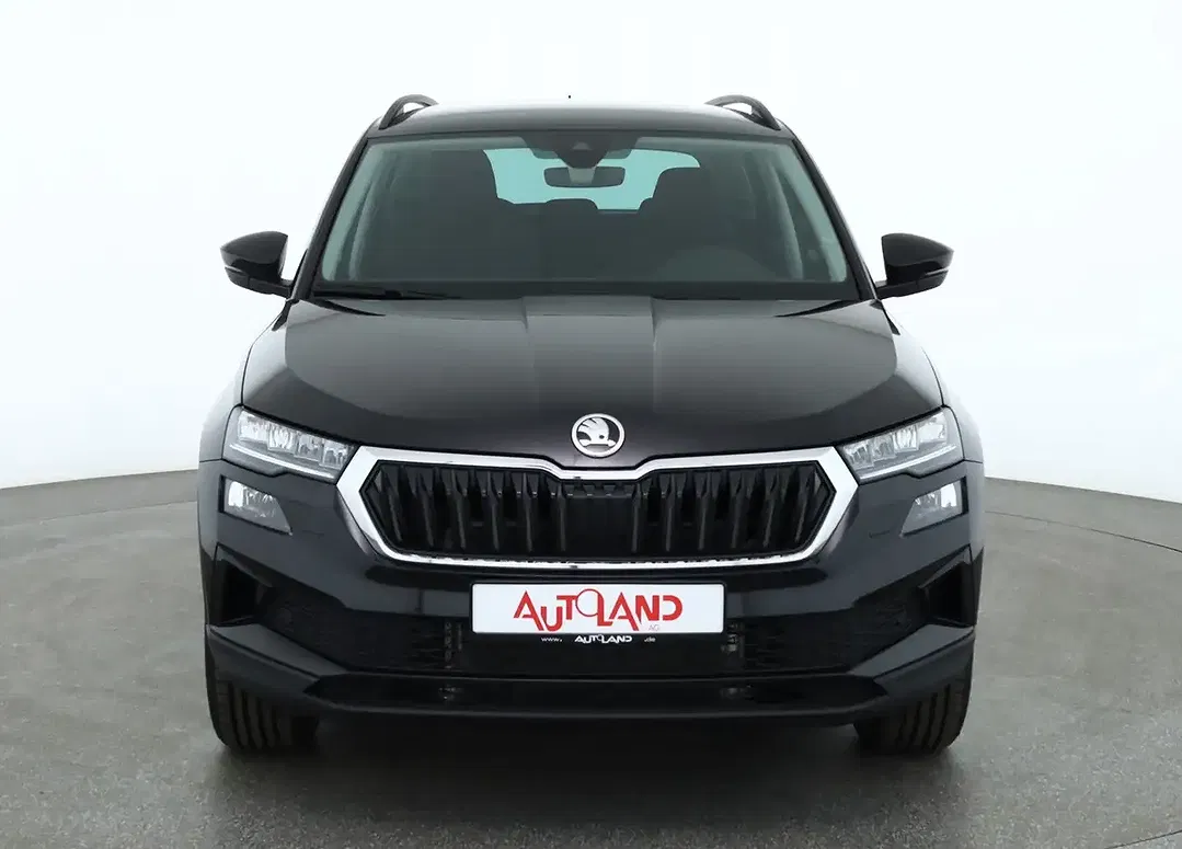 Skoda Karoq - Thumbnail 7
