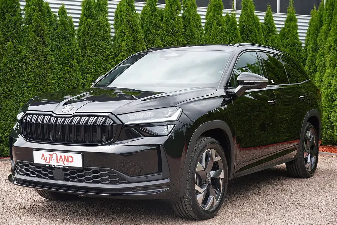 Skoda Kodiaq - Thumbnail 1