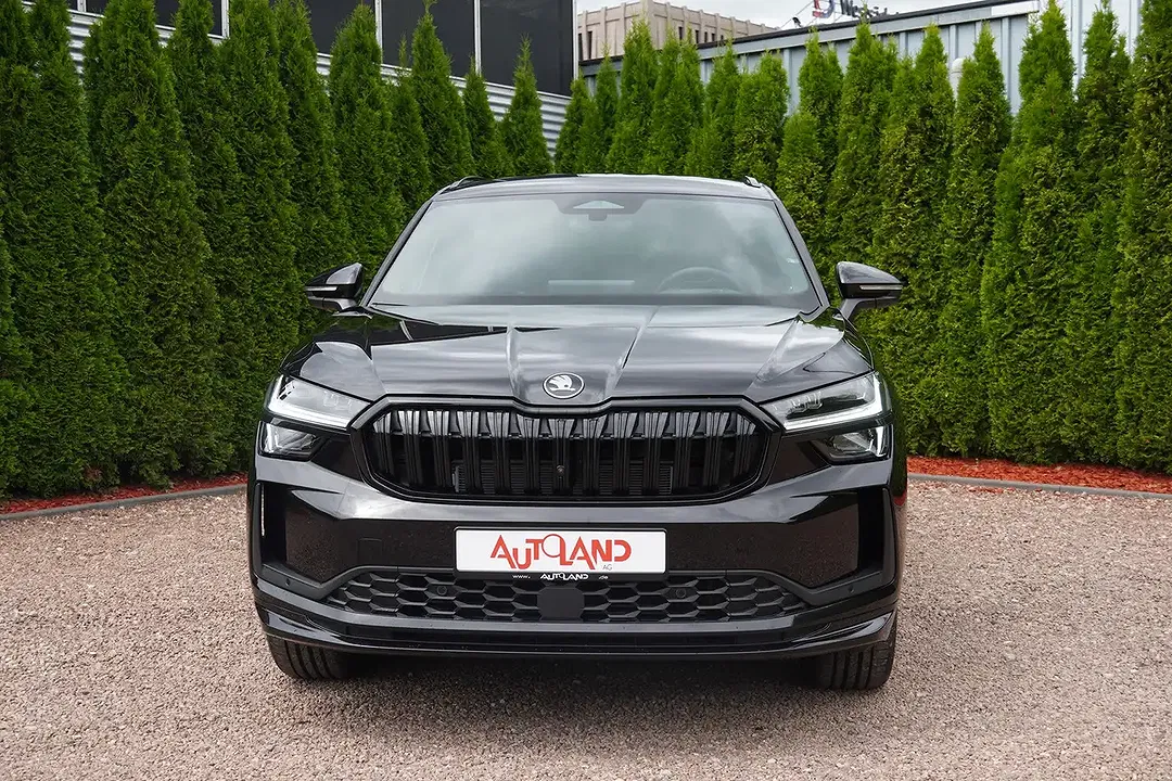 Skoda Kodiaq - Thumbnail 2