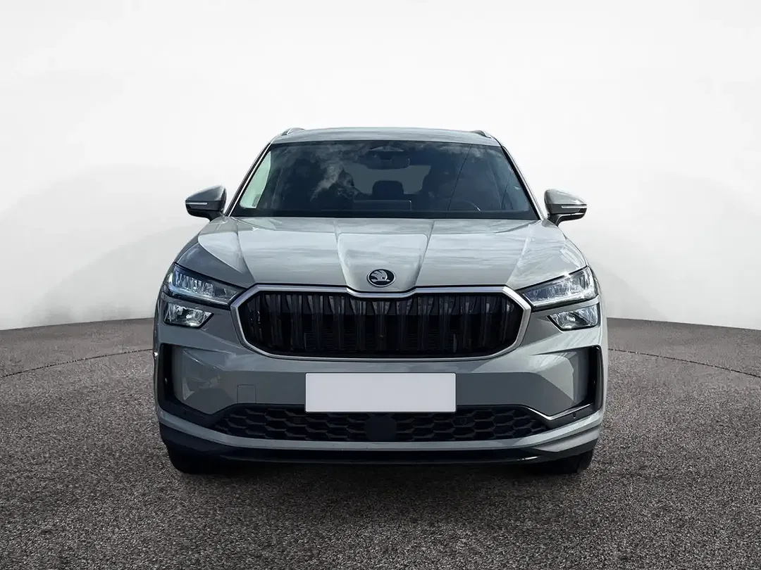 Skoda Kodiaq - Thumbnail 1