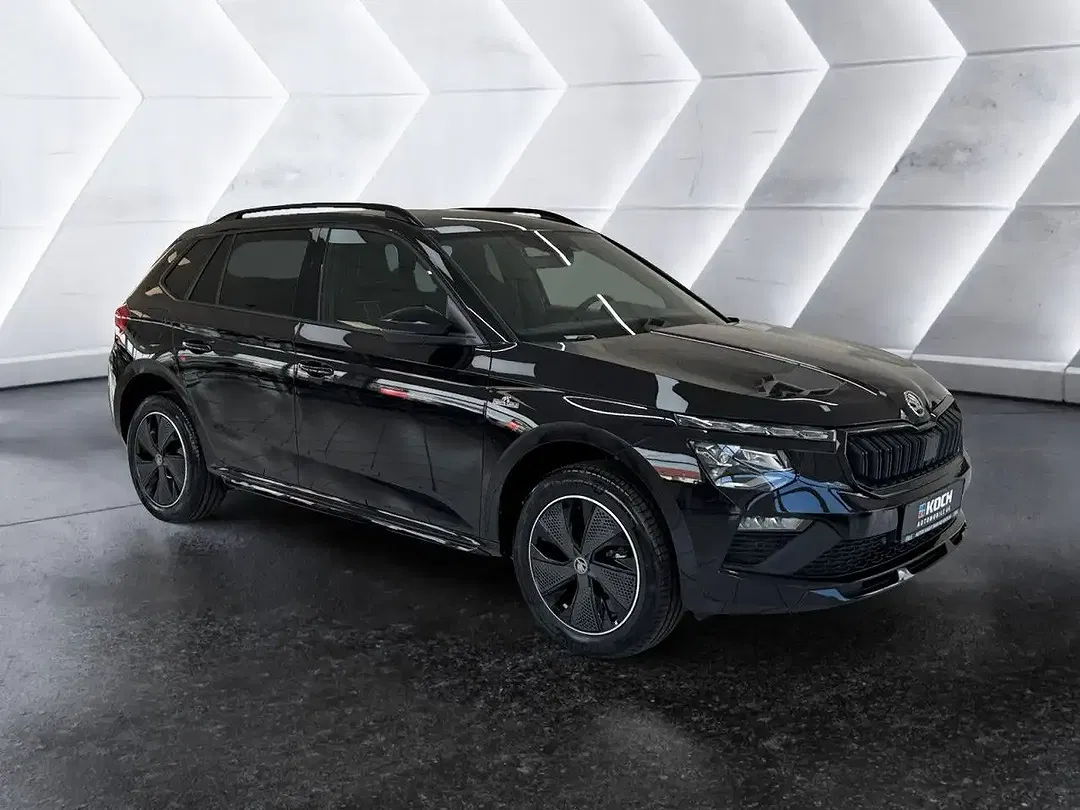 Skoda Kamiq - Thumbnail 3