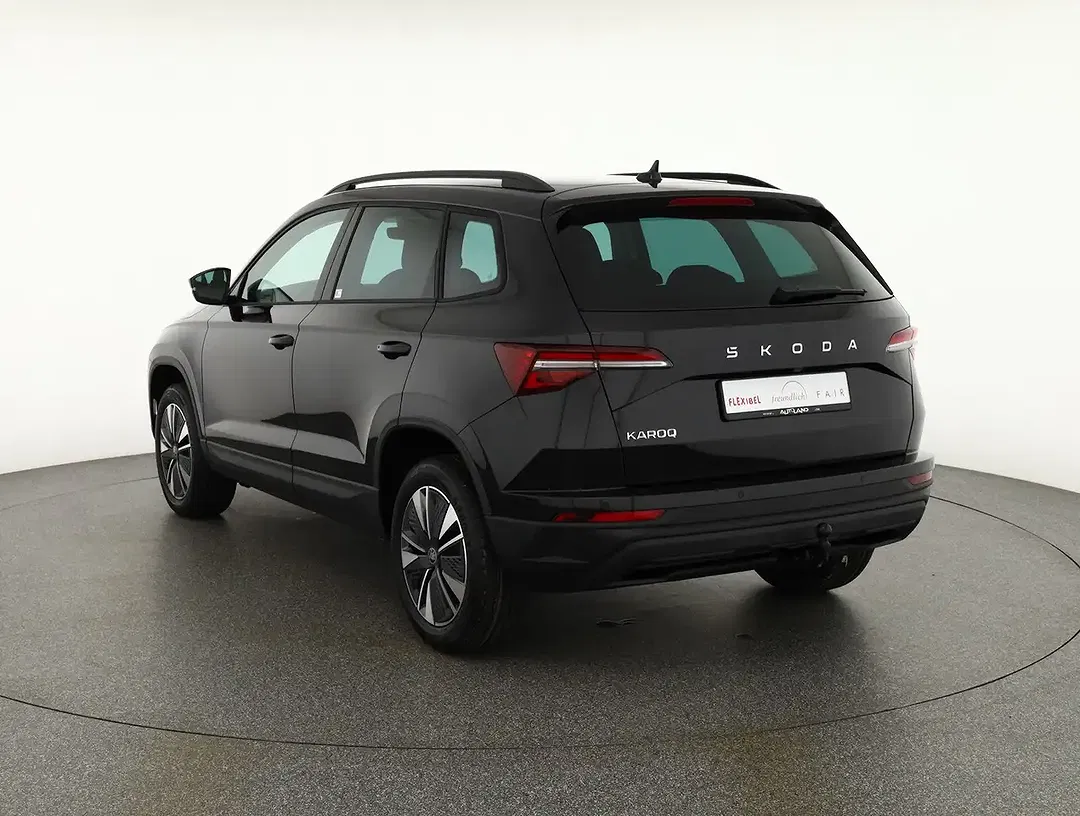 Skoda Karoq - Thumbnail 2
