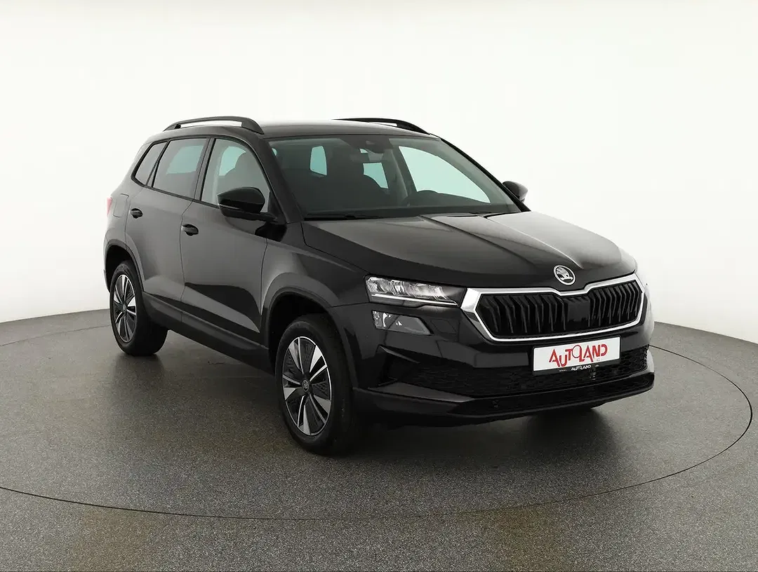 Skoda Karoq - Thumbnail 6