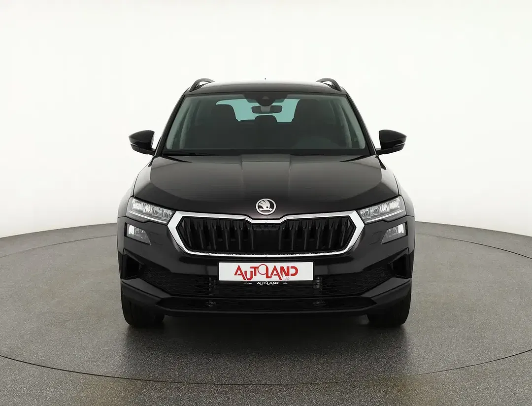 Skoda Karoq - Thumbnail 7