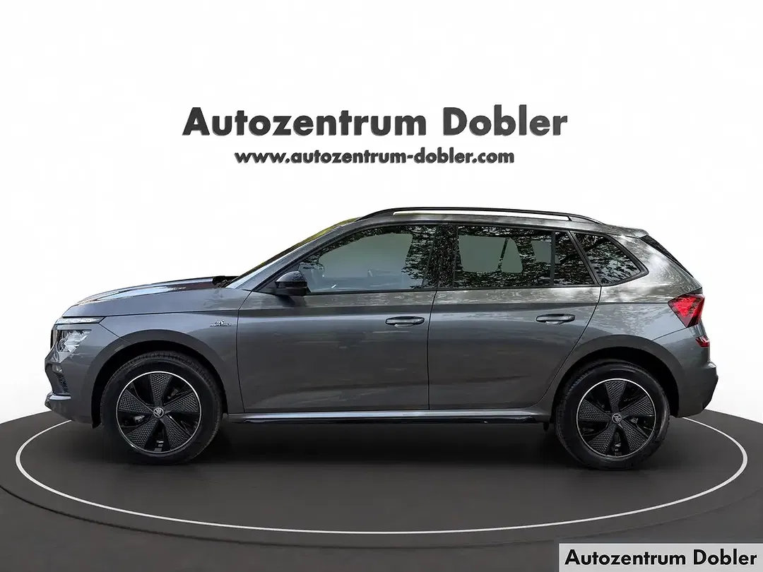 Skoda Kamiq - Thumbnail 4