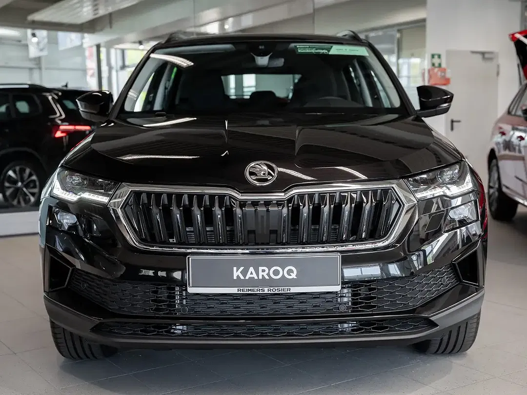 Skoda Karoq - Thumbnail 2