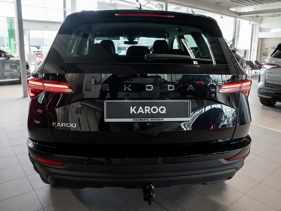 Skoda Karoq - Thumbnail 4