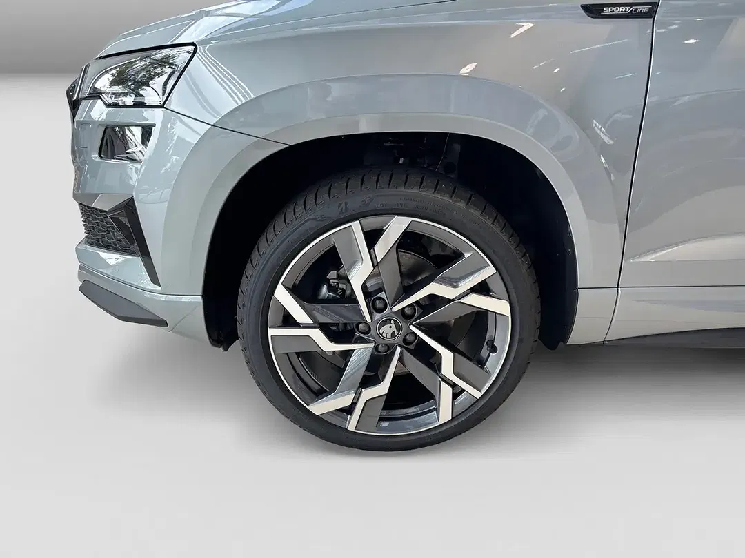 Skoda Karoq - Thumbnail 4