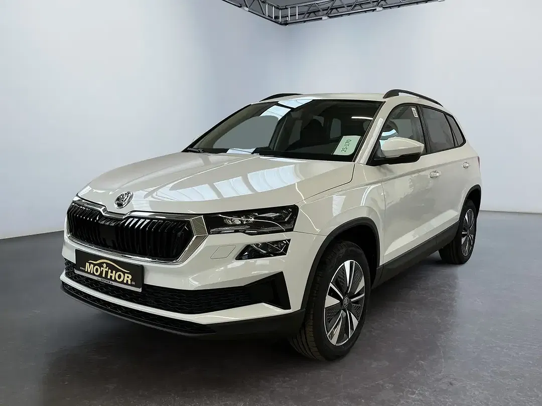 Skoda Karoq - Thumbnail 1