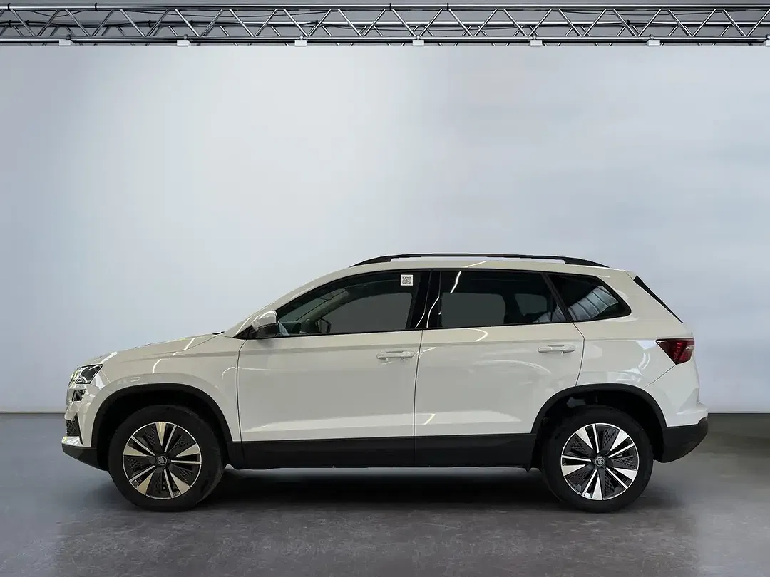 Skoda Karoq - Thumbnail 2