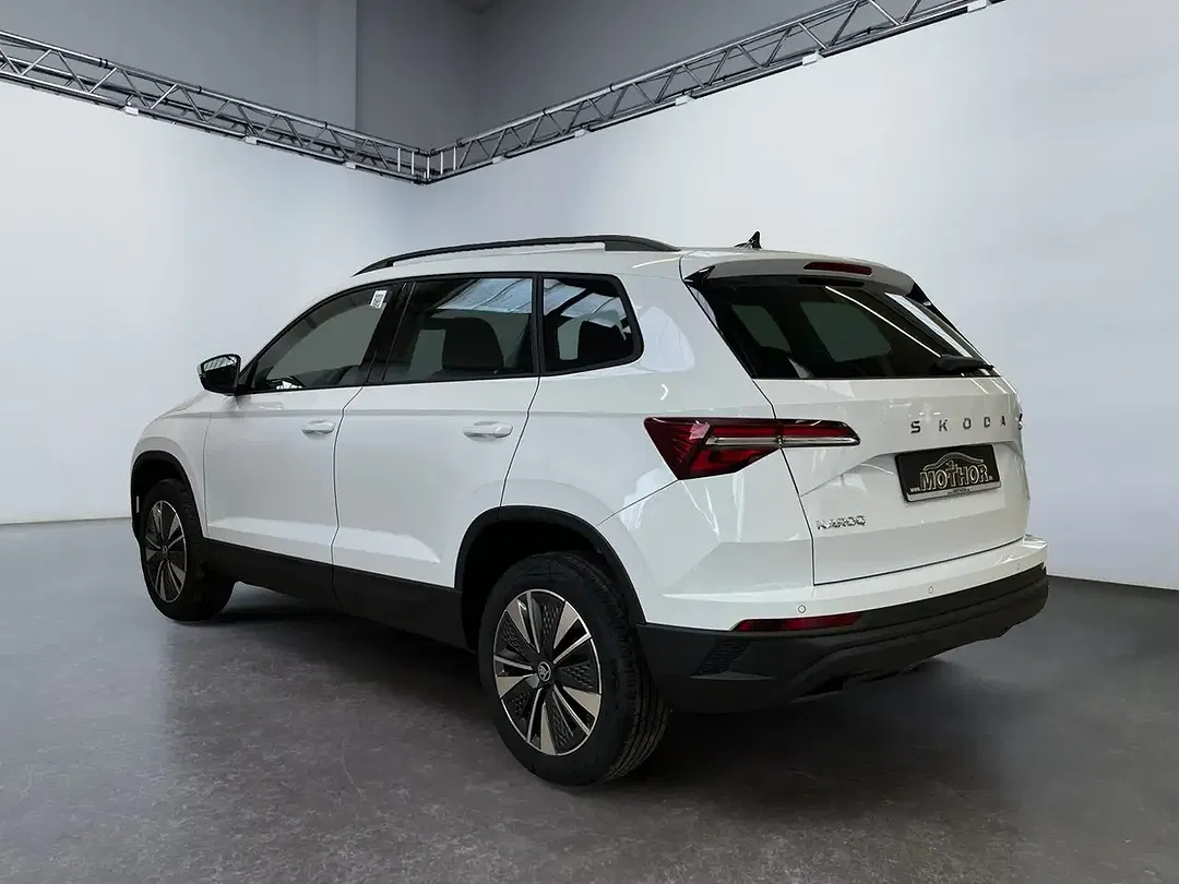 Skoda Karoq - Thumbnail 3
