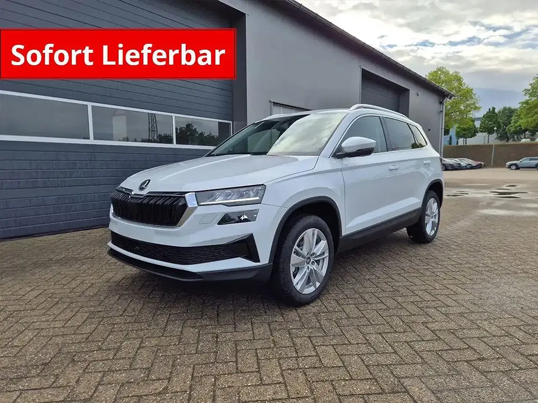 Skoda Karoq - Thumbnail 1