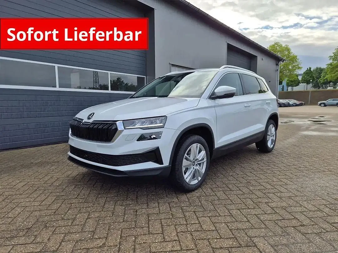 Skoda Karoq - Afbeelding 1