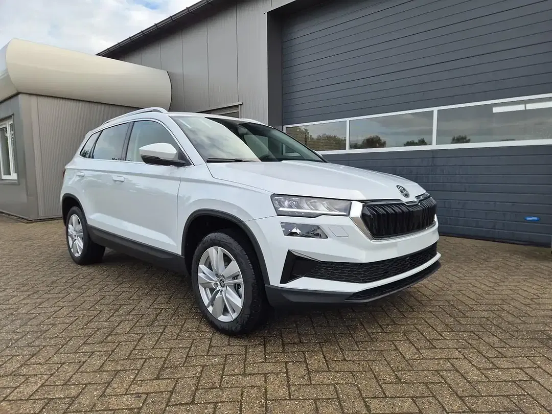 Skoda Karoq - Thumbnail 7