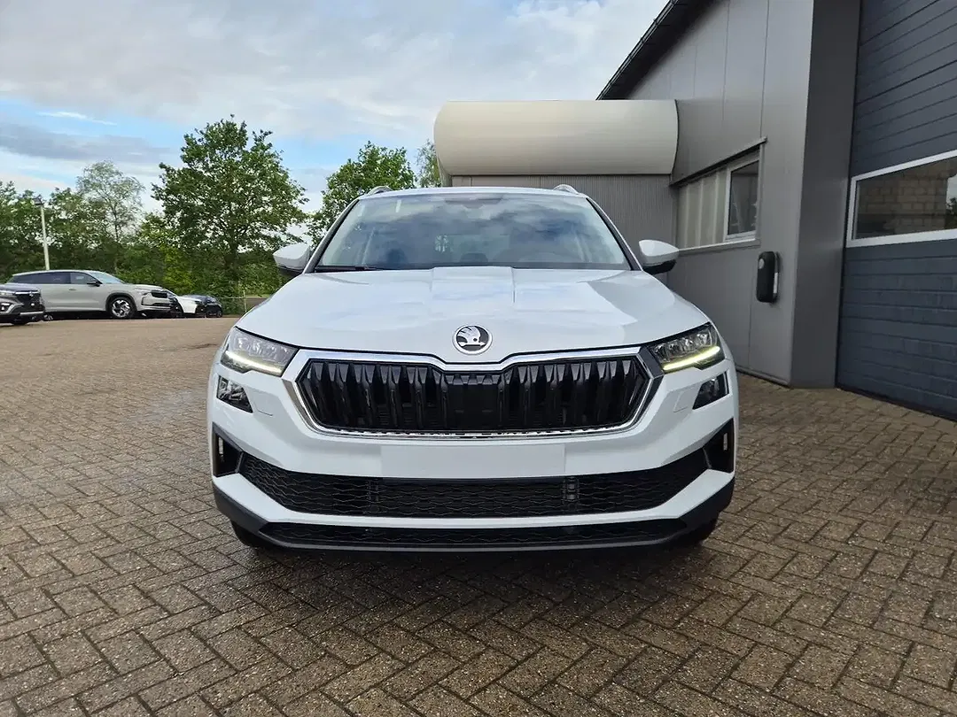 Skoda Karoq - Thumbnail 8
