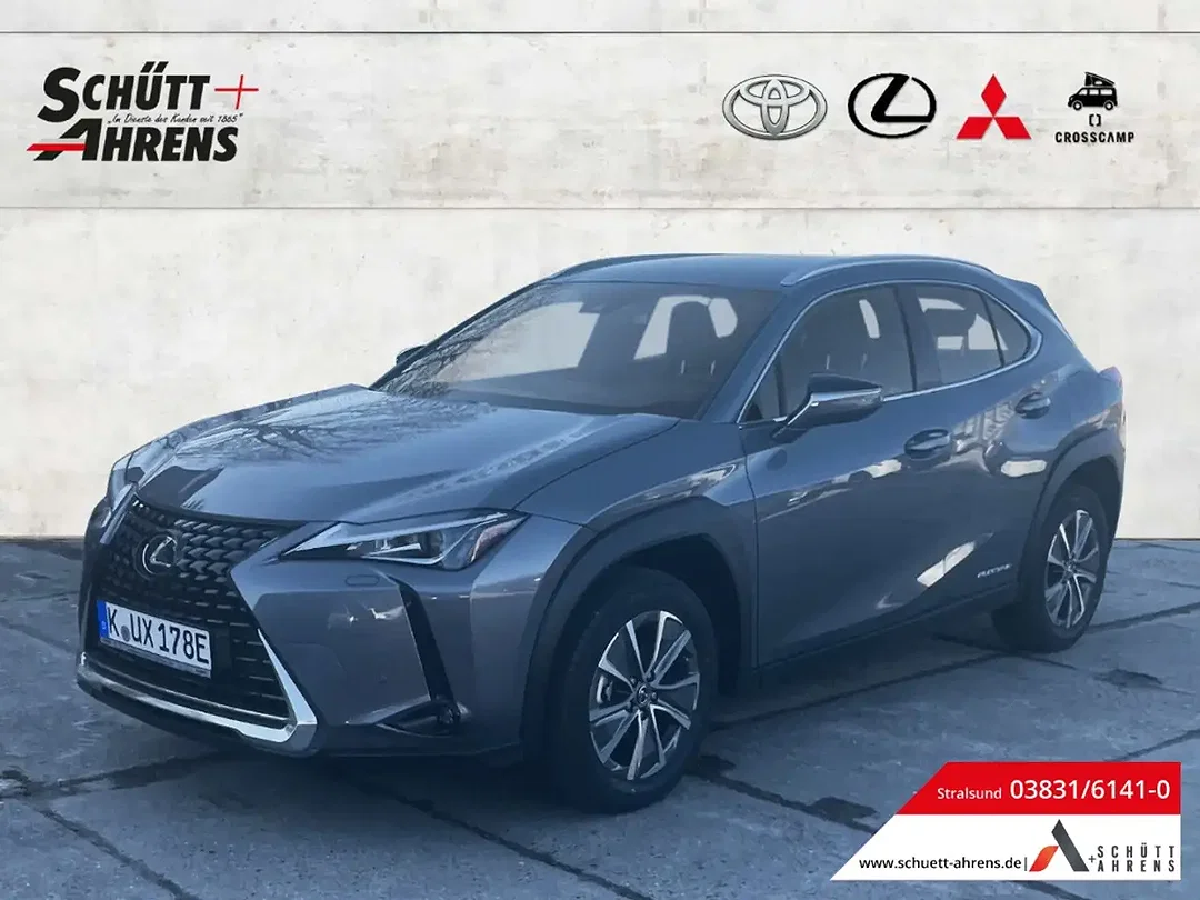 Lexus UX 300e - Afbeelding 1