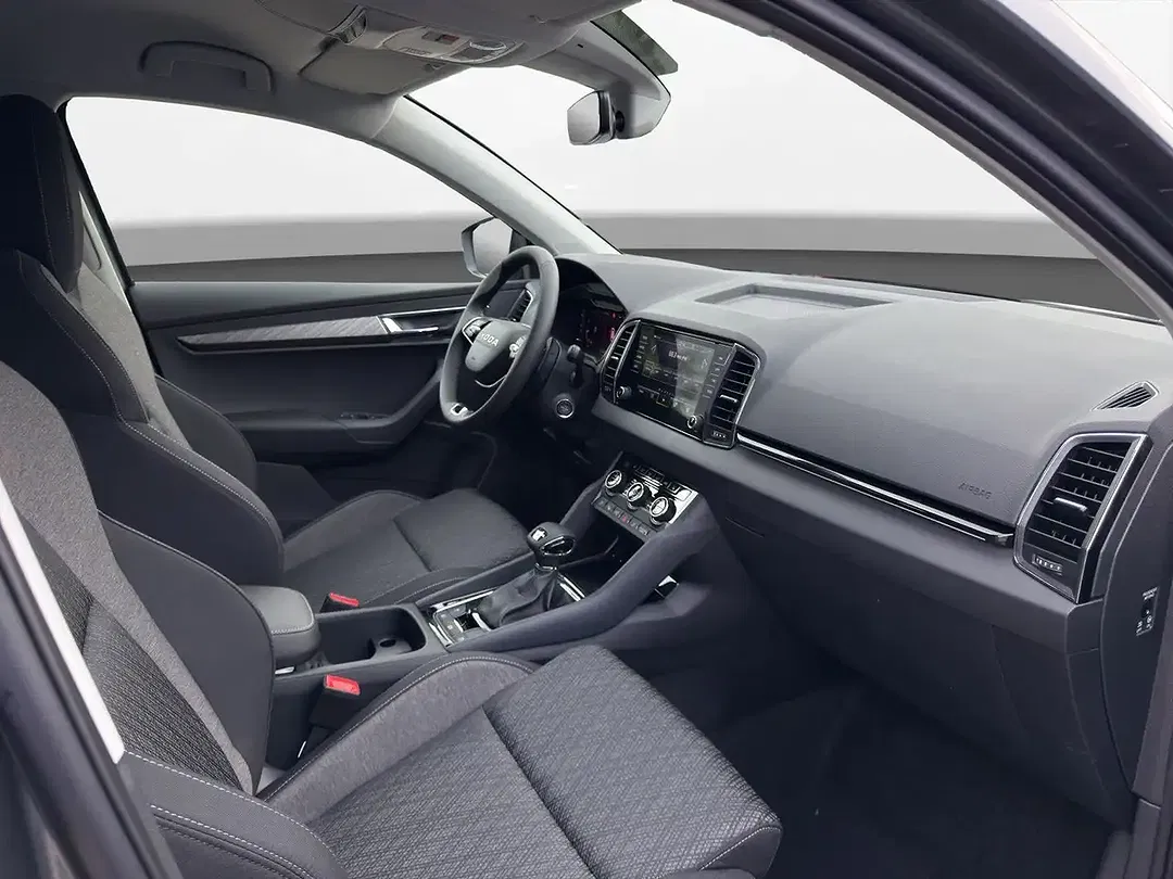 Skoda Karoq - Thumbnail 8