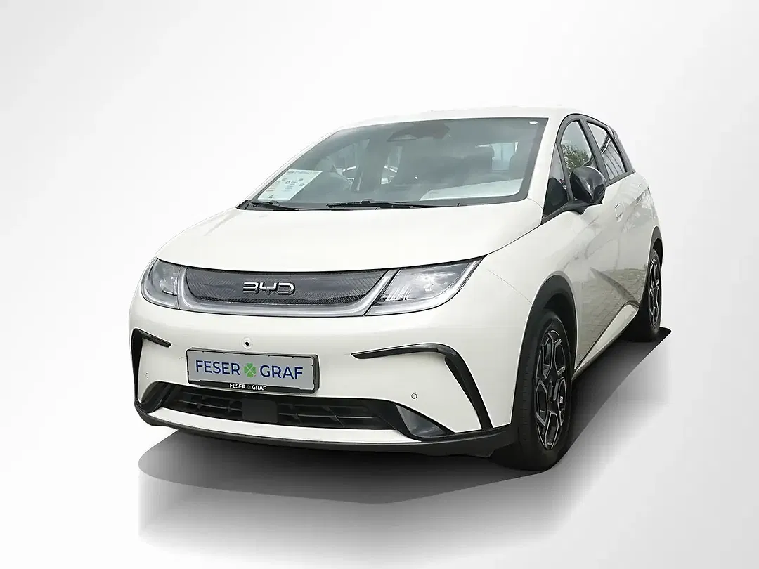 BYD Dolphin - Thumbnail 10
