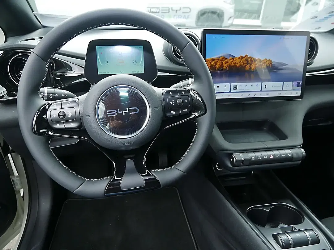BYD Dolphin - Thumbnail 4