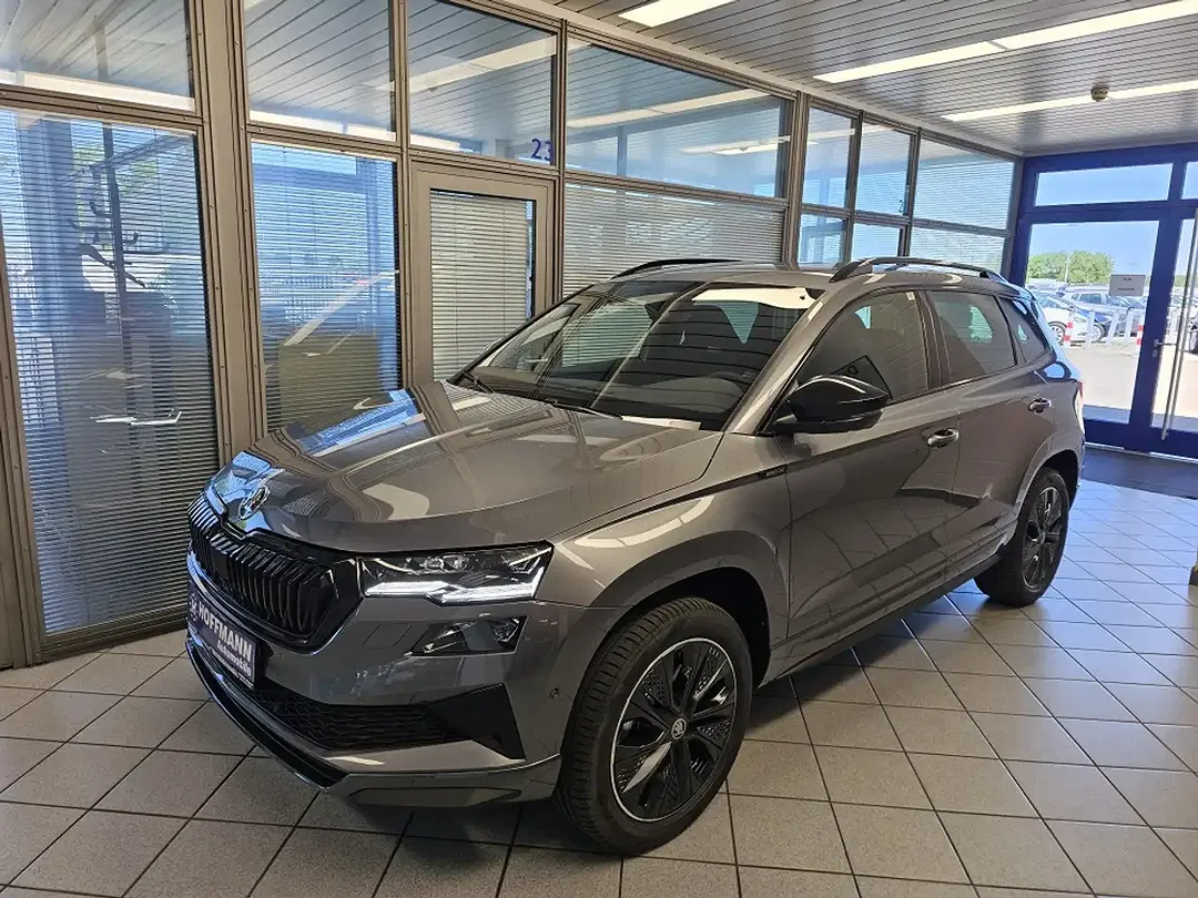Skoda Karoq - Thumbnail 2