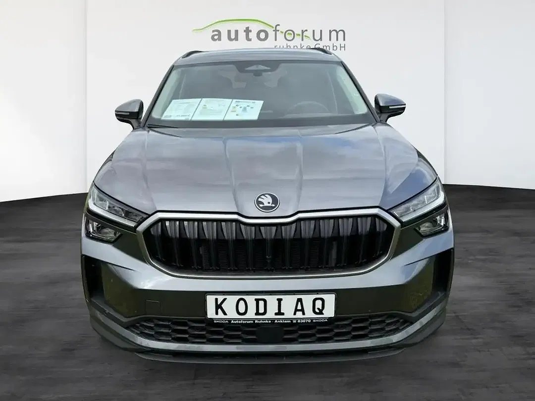 Skoda Kodiaq - Thumbnail 2