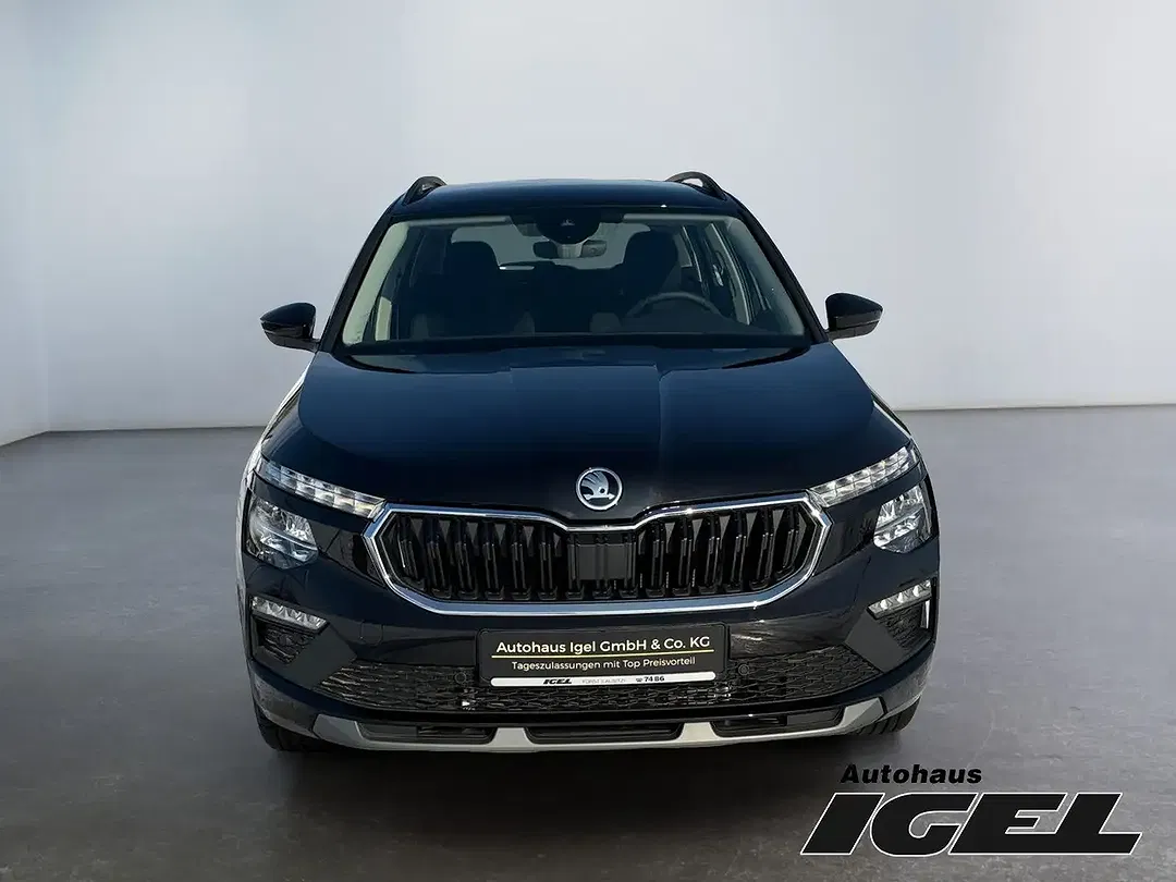 Skoda Kamiq - Thumbnail 8