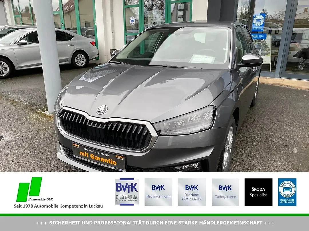 Skoda Fabia - Afbeelding 1