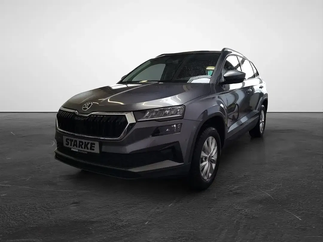 Skoda Karoq - Thumbnail 2