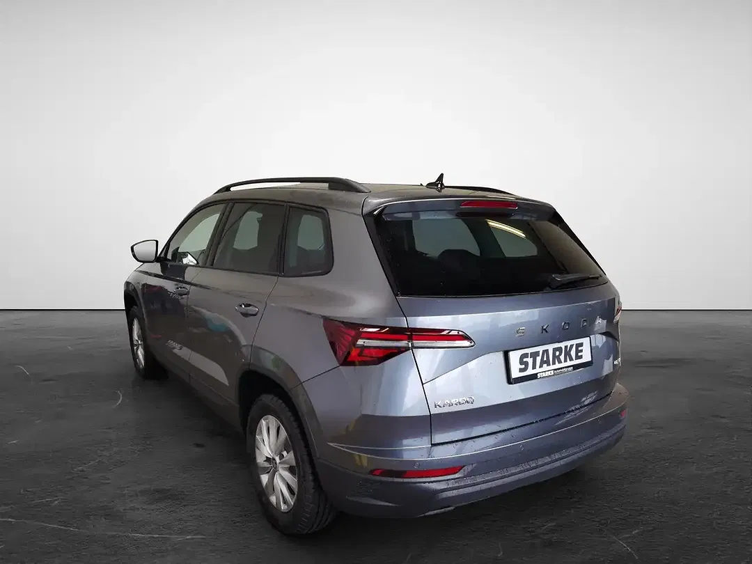 Skoda Karoq - Thumbnail 4