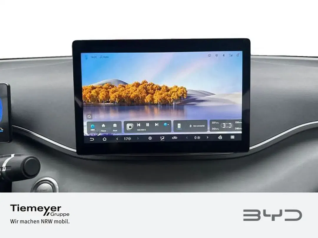 BYD Dolphin Surf - Thumbnail 13