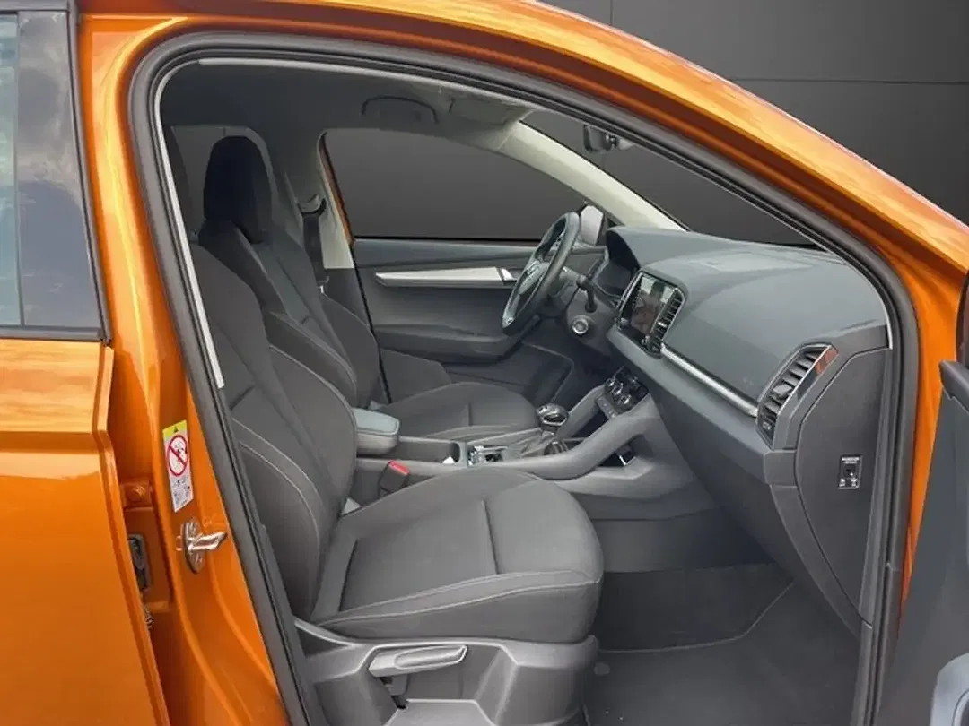 Skoda Karoq - Thumbnail 14