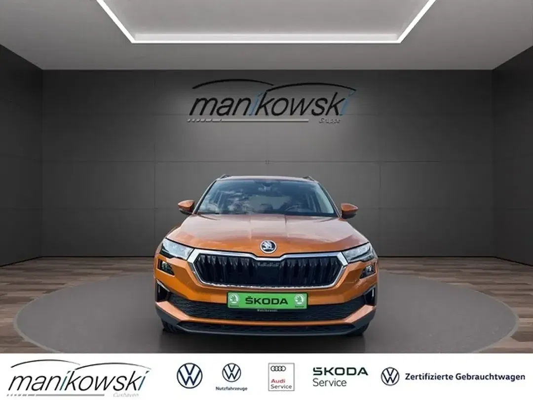 Skoda Karoq - Thumbnail 8