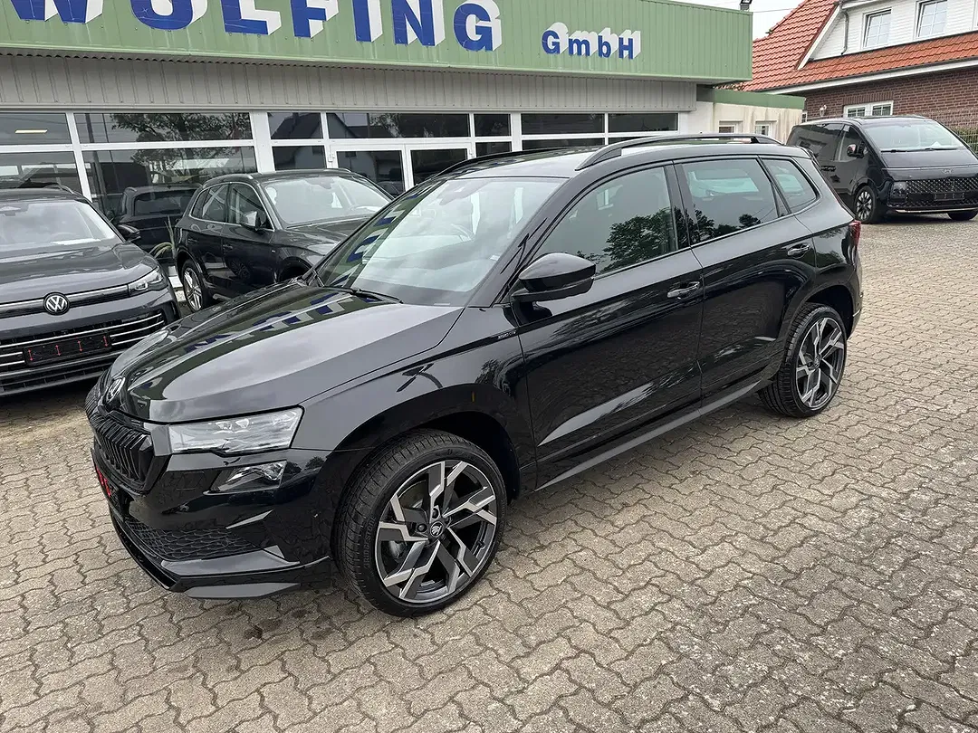 Skoda Karoq - Thumbnail 2