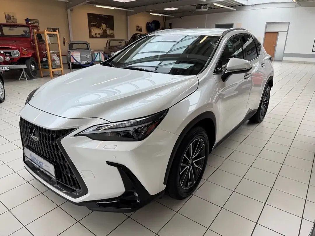 Lexus NX 450h+ E-FOUR Business