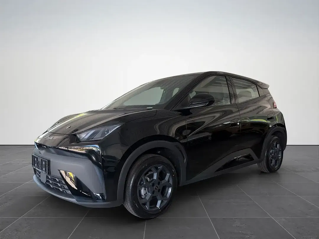 BYD Dolphin Surf Boost