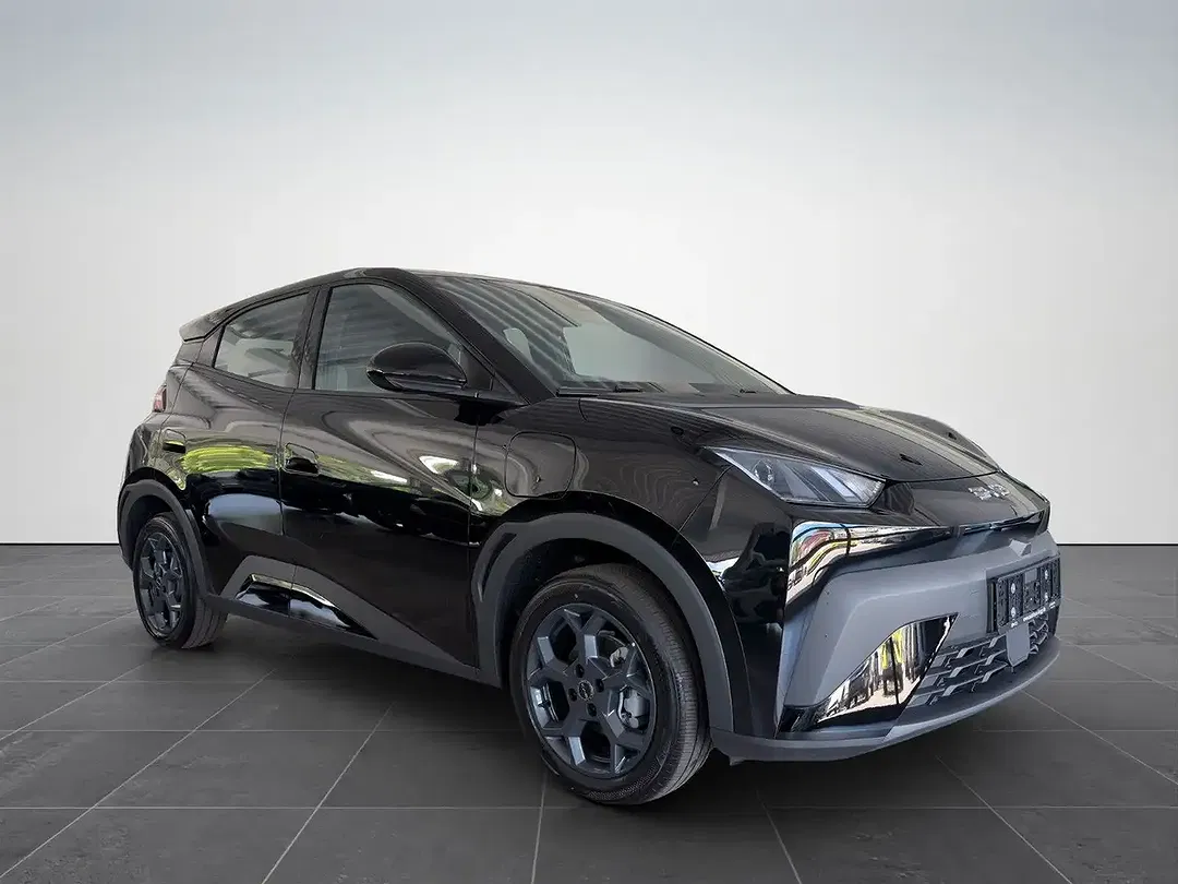 BYD Dolphin - Thumbnail 2