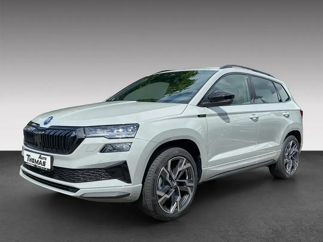 Skoda Karoq - Thumbnail 1