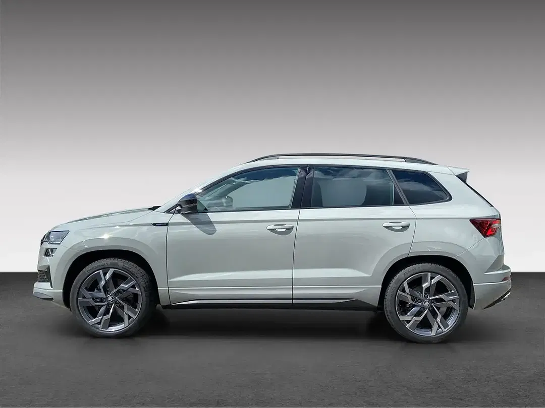 Skoda Karoq - Thumbnail 4