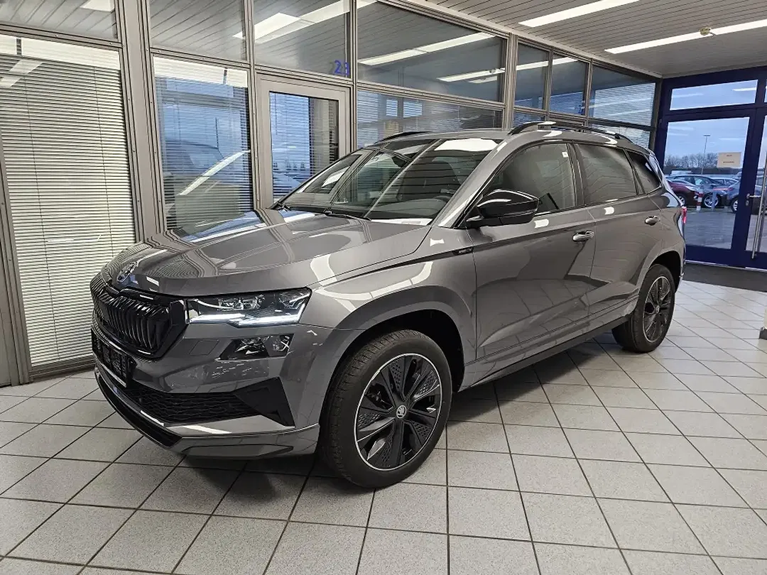 Skoda Karoq - Thumbnail 2