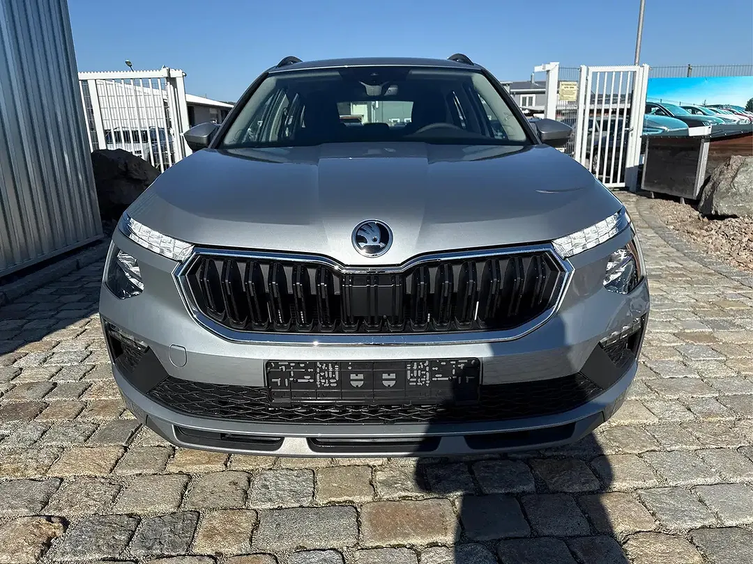 Skoda Kamiq - Thumbnail 12