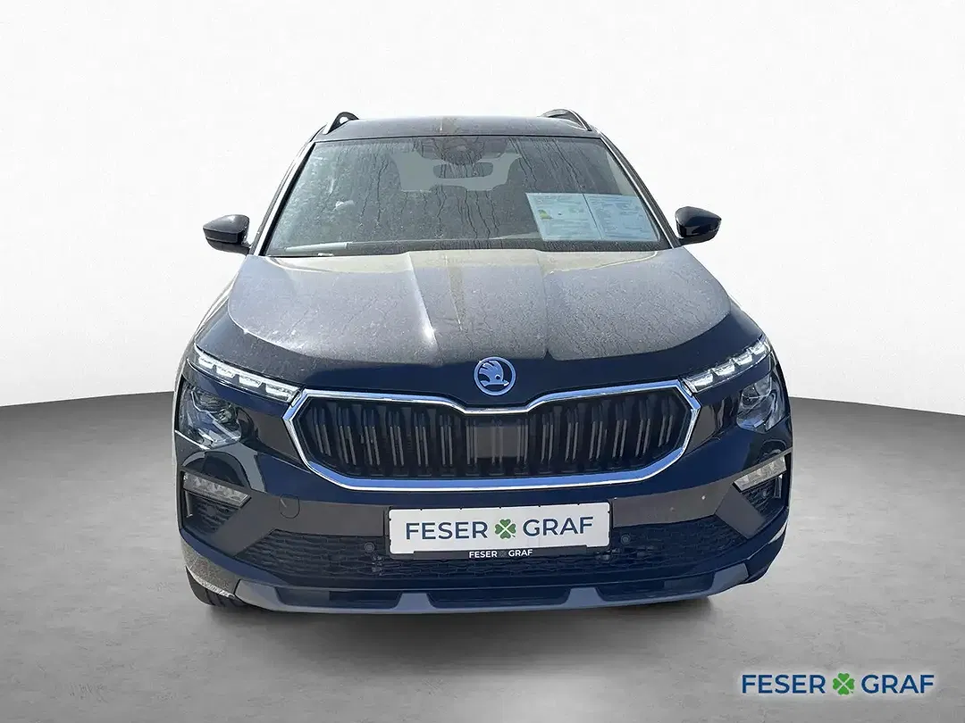 Skoda Kamiq - Thumbnail 2