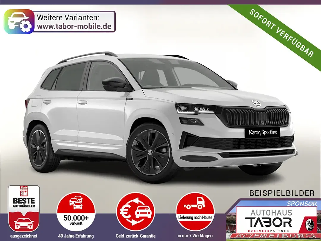 Skoda Karoq - Thumbnail 1