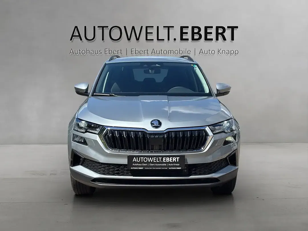 Skoda Karoq - Thumbnail 2