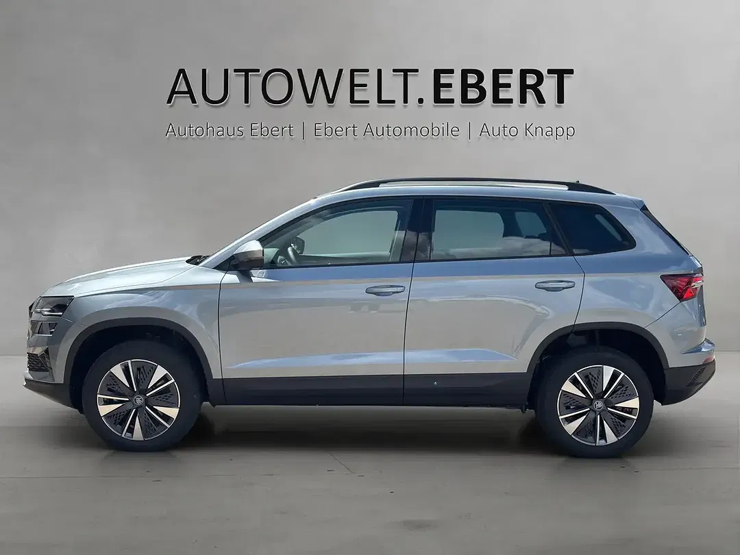 Skoda Karoq - Thumbnail 3