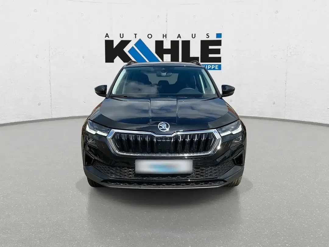 Skoda Karoq - Thumbnail 4