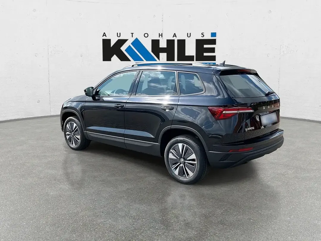 Skoda Karoq - Thumbnail 6