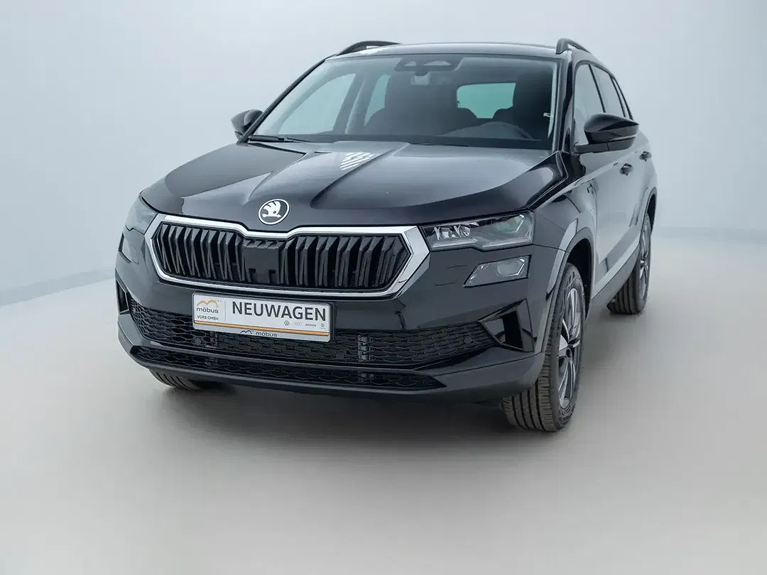 Skoda Karoq - Thumbnail 1
