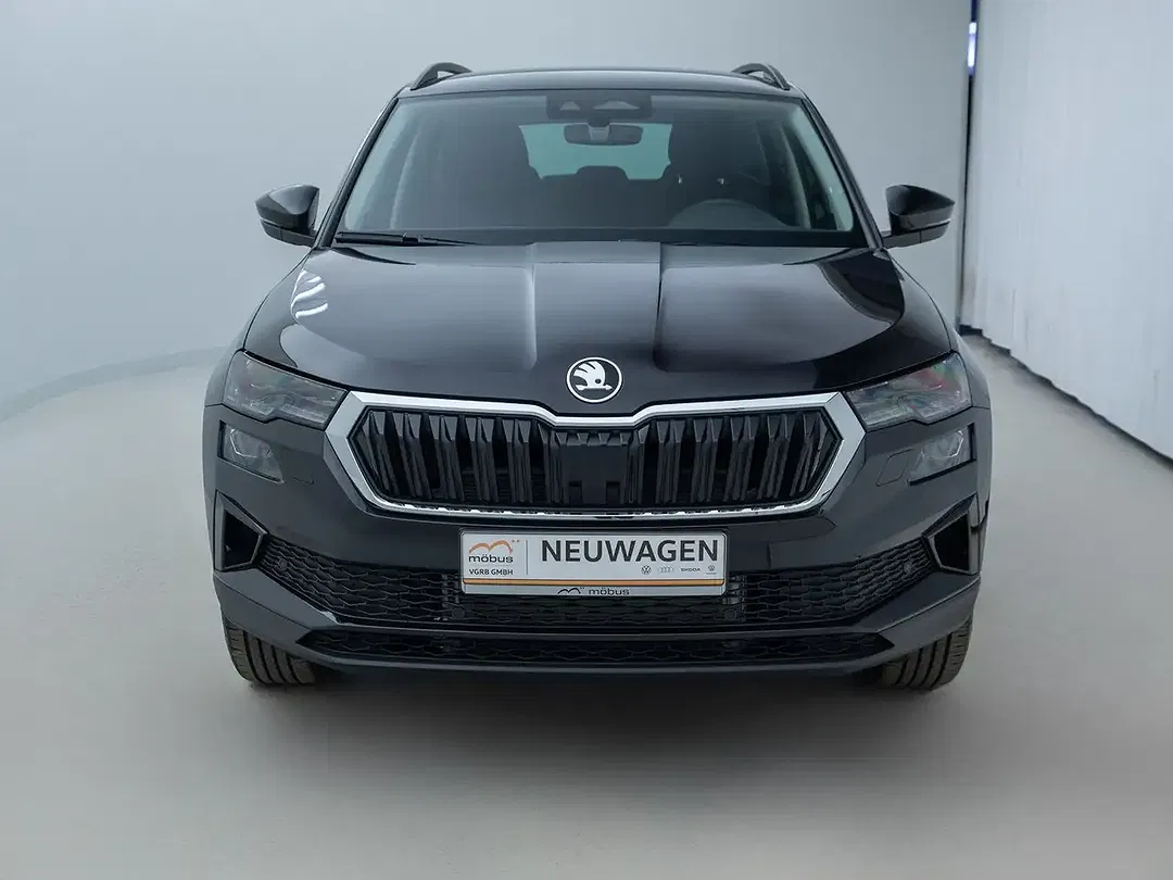 Skoda Karoq - Thumbnail 2