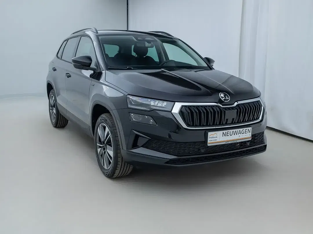 Skoda Karoq - Thumbnail 3