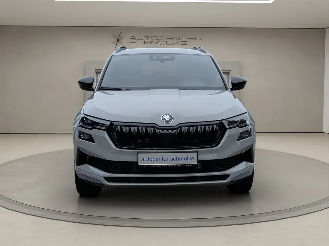 Skoda Karoq - Thumbnail 1